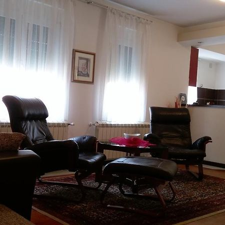 Apartment Krsmanovic 阿然德洛维克 外观 照片