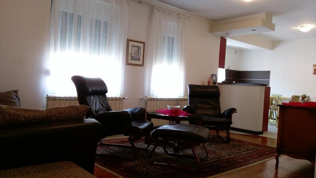 Apartment Krsmanovic 阿然德洛维克 外观 照片