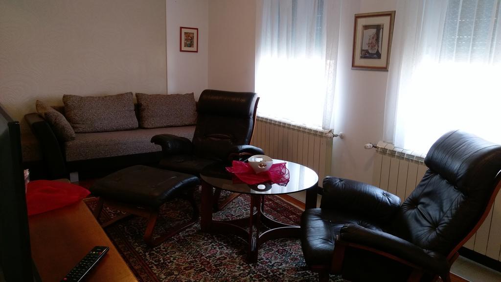 Apartment Krsmanovic 阿然德洛维克 外观 照片